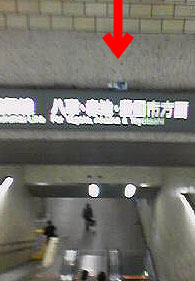 �y�b�g�{�g��