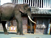 �����͖≮�������Ȃ�