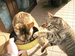 �����H��