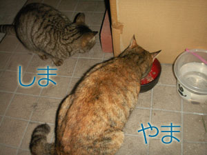 ��܁�����