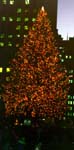 RFS's Tree